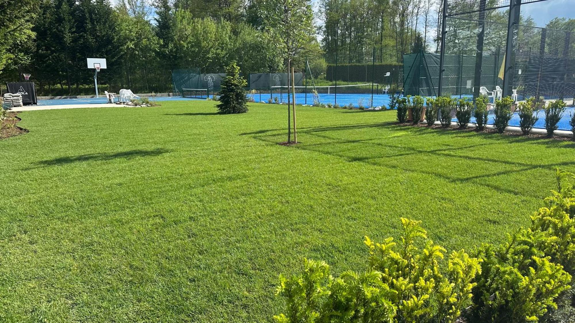Appartamenti E B&B Casa Ester Baselga di Pinè Dış mekan fotoğraf