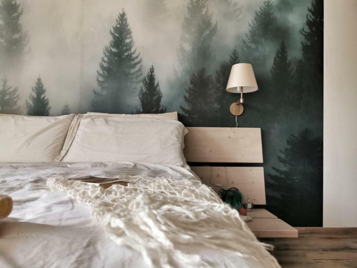Appartamenti E B&B Casa Ester Baselga di Pinè Dış mekan fotoğraf